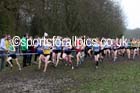 Womens under-20s Inter Counties Cross Country, Prestwold Hall, Loughborough. Photo: David T. Hewitson/Sports for All Pics